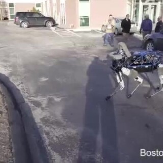 GOOGLE-LOVES-TO-BEAT-ITS-ROBOTS