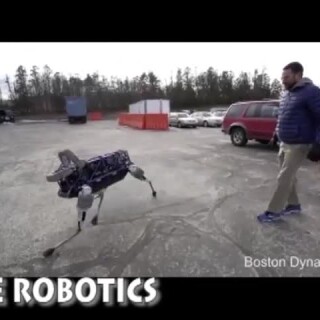 GOOGLE_ABUSE_BOTS