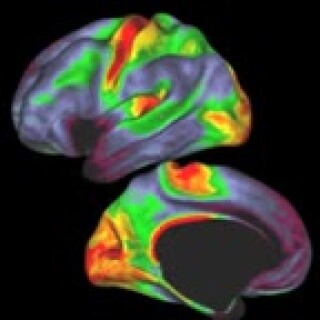How-Google-Brainwashing-Works-compressed