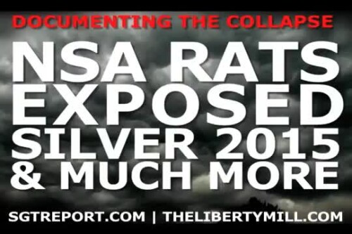 NSA RATS EXPOSED, SILVER 2015 & Much More YouTube